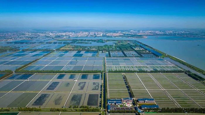 航拍高淳固城湖螃蟹核心區(qū)。高淳區(qū)融媒體中心供圖